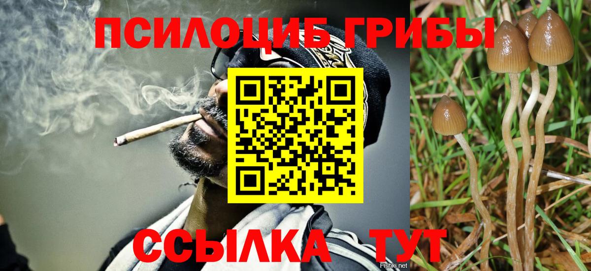 Псилоцибиновые грибы GOLDEN TEACHER  Вход с VPN  Камышлов 